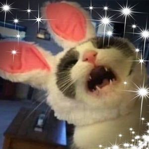 Meet your Posher, Carla